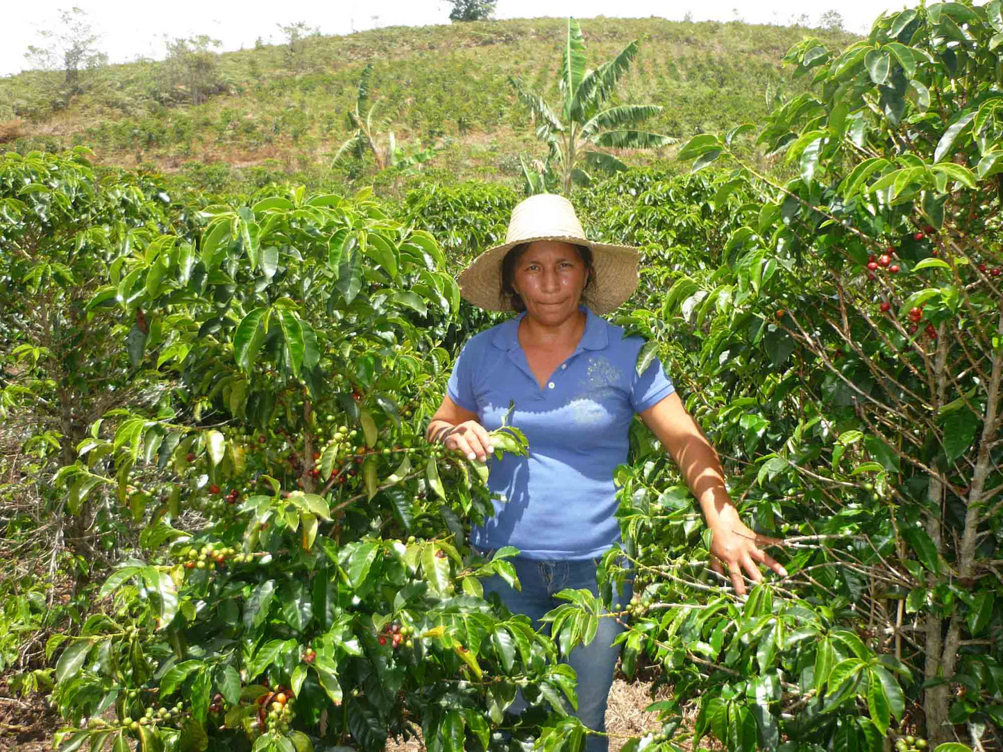 Women ASMUCAFE Espresso