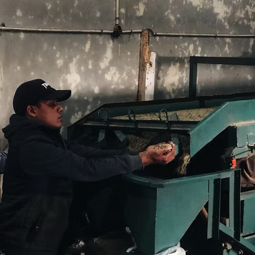 Senja di Goyang - Espresso