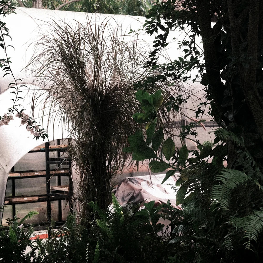 Good Morning Lucy - Filter