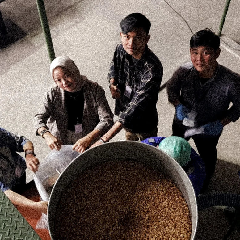 Good Morning Lucy - Filter