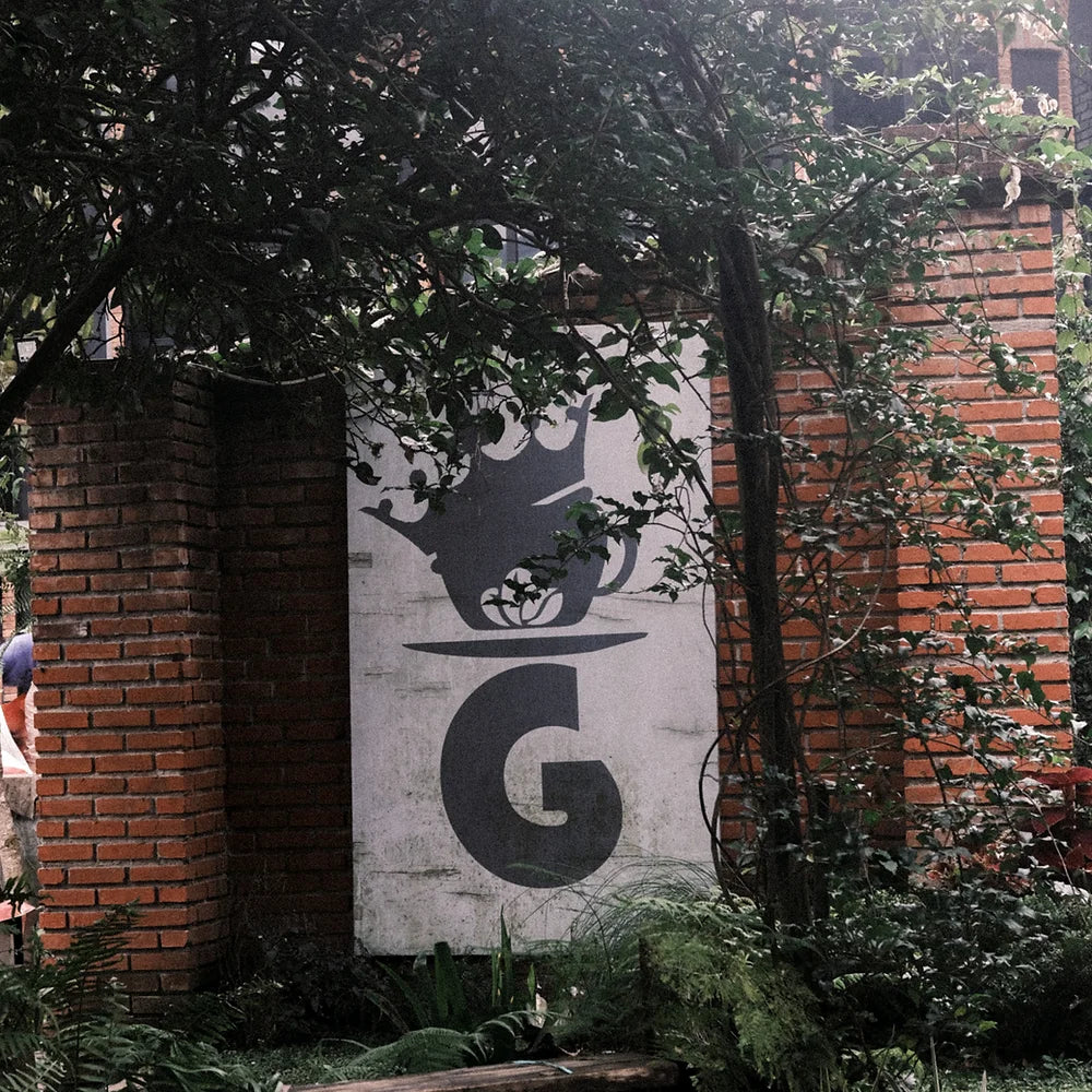 Good Morning Lucy - Filter