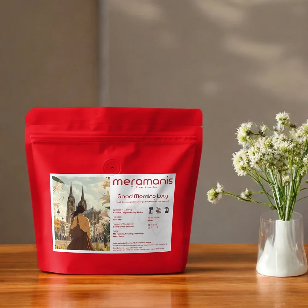 Good Morning Lucy - Filter