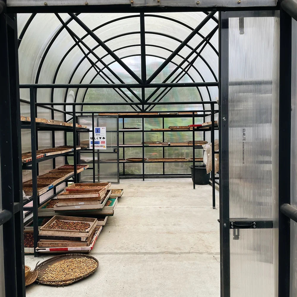 Good Morning Lucy - Filter