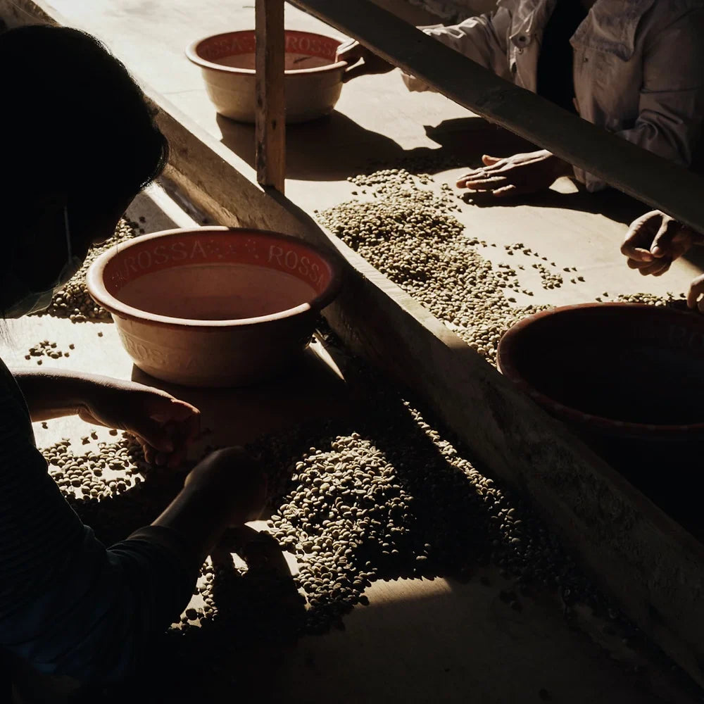 Cafe de Flores - Filter