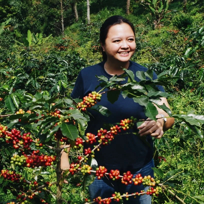 Good Morning Lucy - Filter