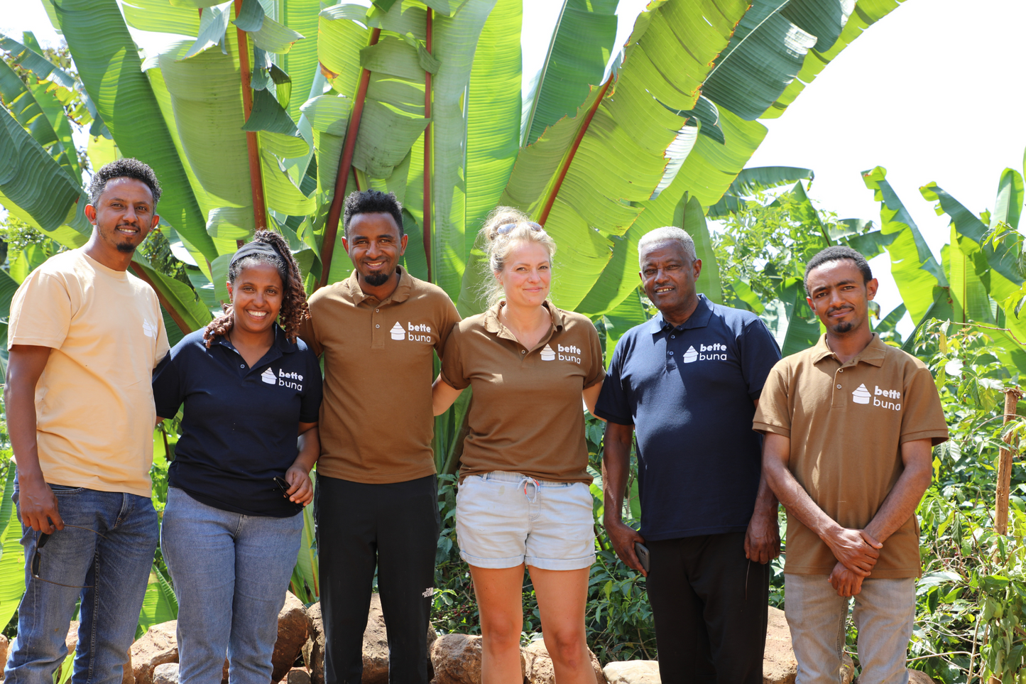 Filter Coffee - Syoum Family - Anaerobic Honey