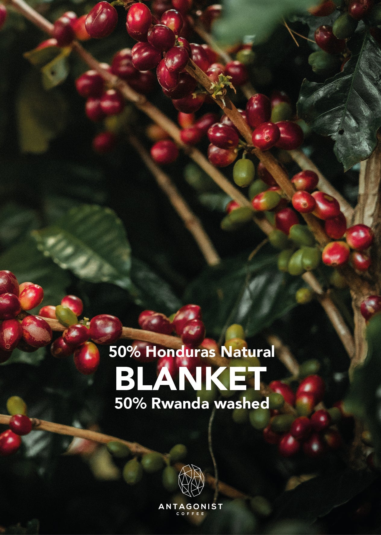 Espresso Blend Blanket