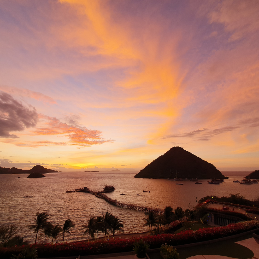 Cafe de Flores - Filter