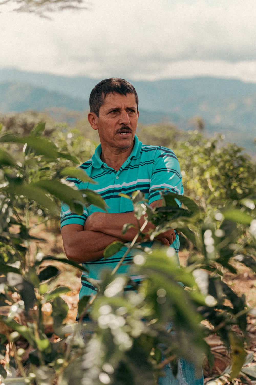 Villa Betulia Espresso