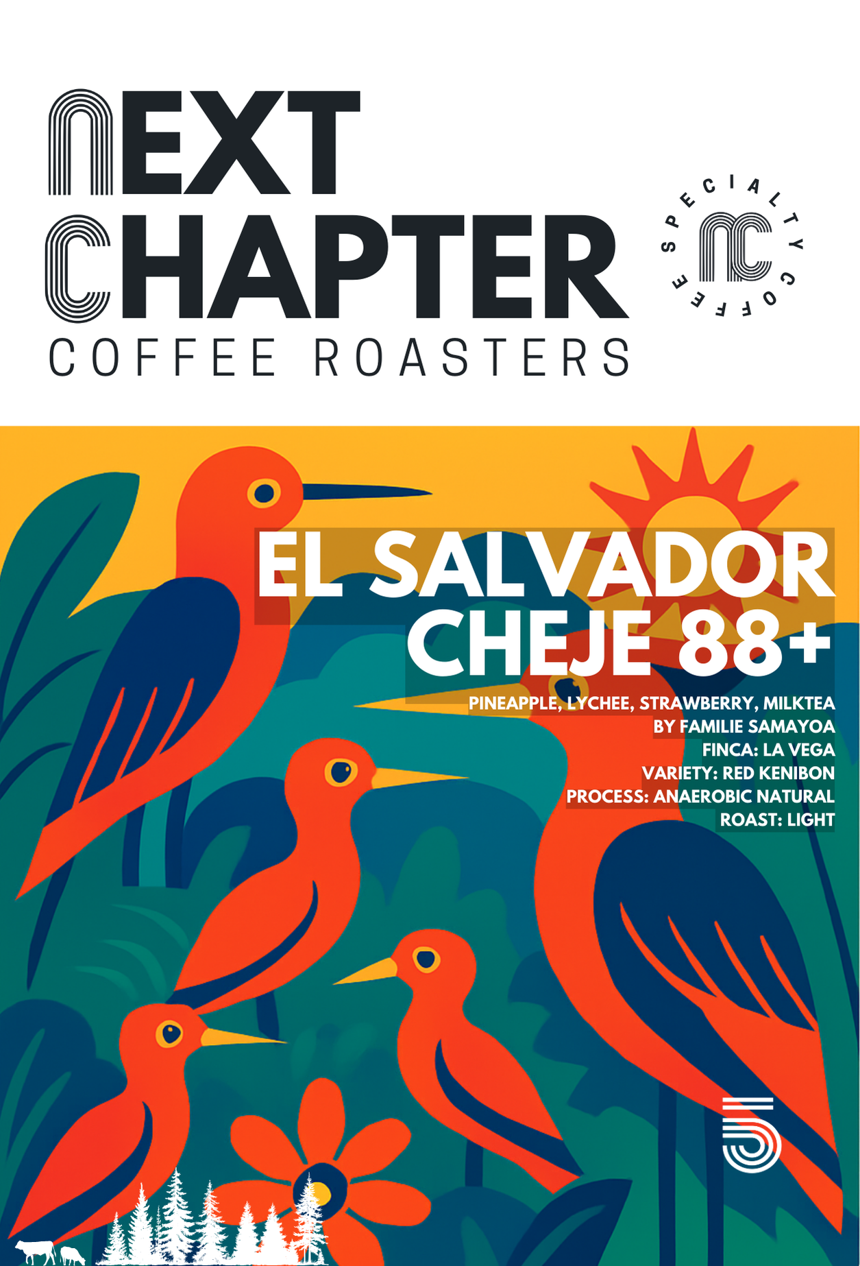 NEXT CHAPTER: EL SALVADOR CHEJE 88+