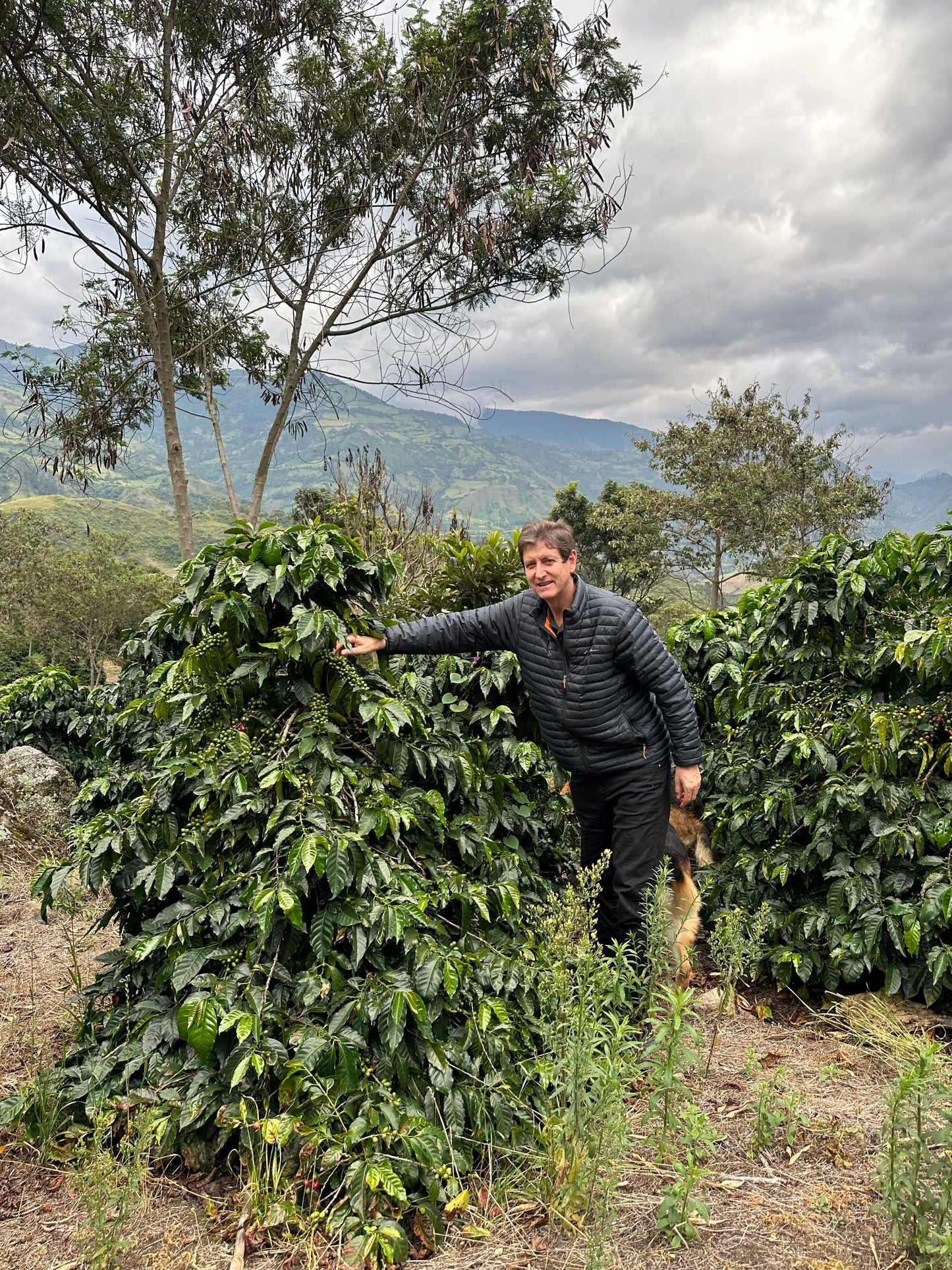 El Obraje Espresso