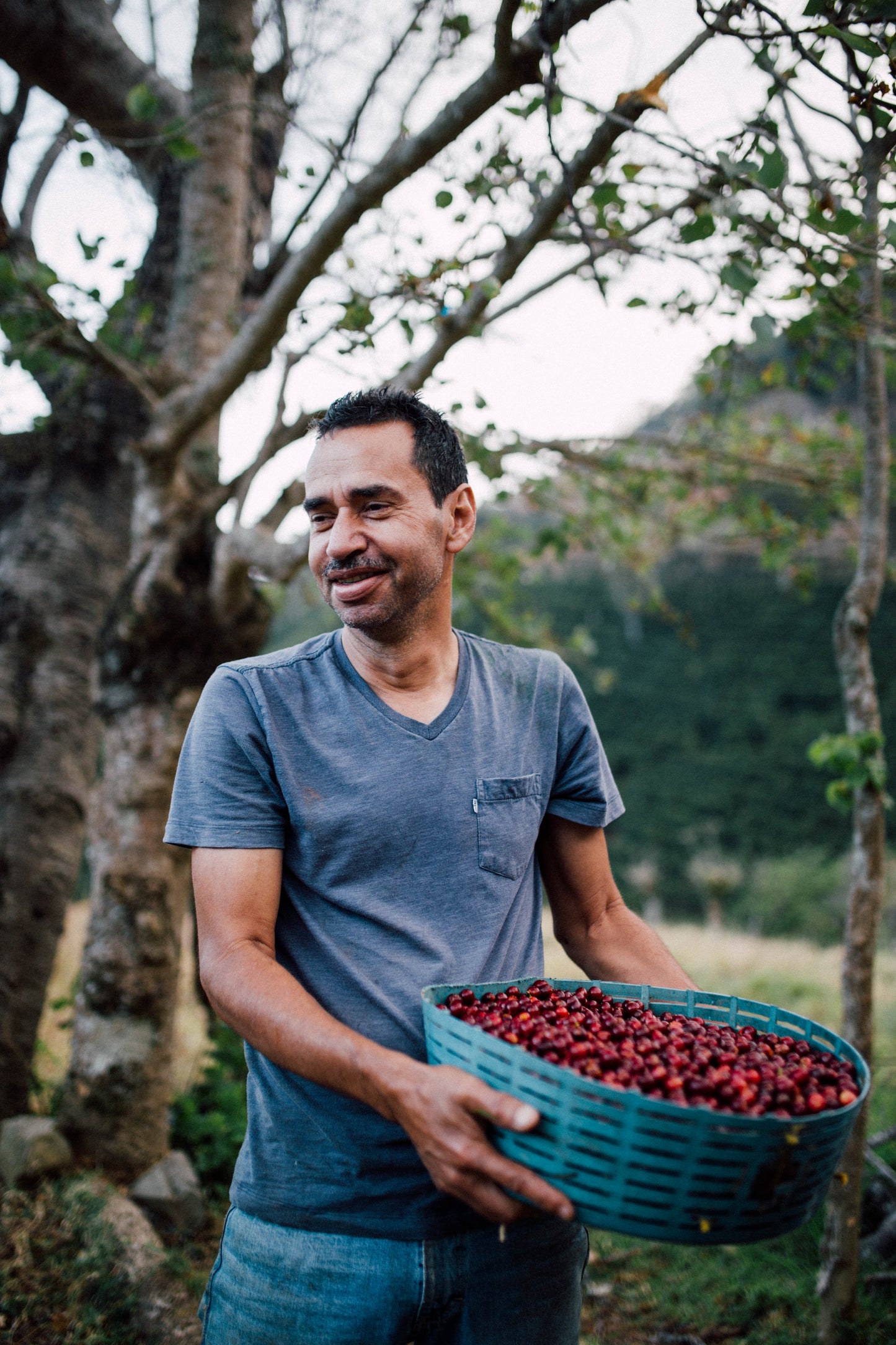 Filter Coffee - Jorge Vásquez - Catuai Natural