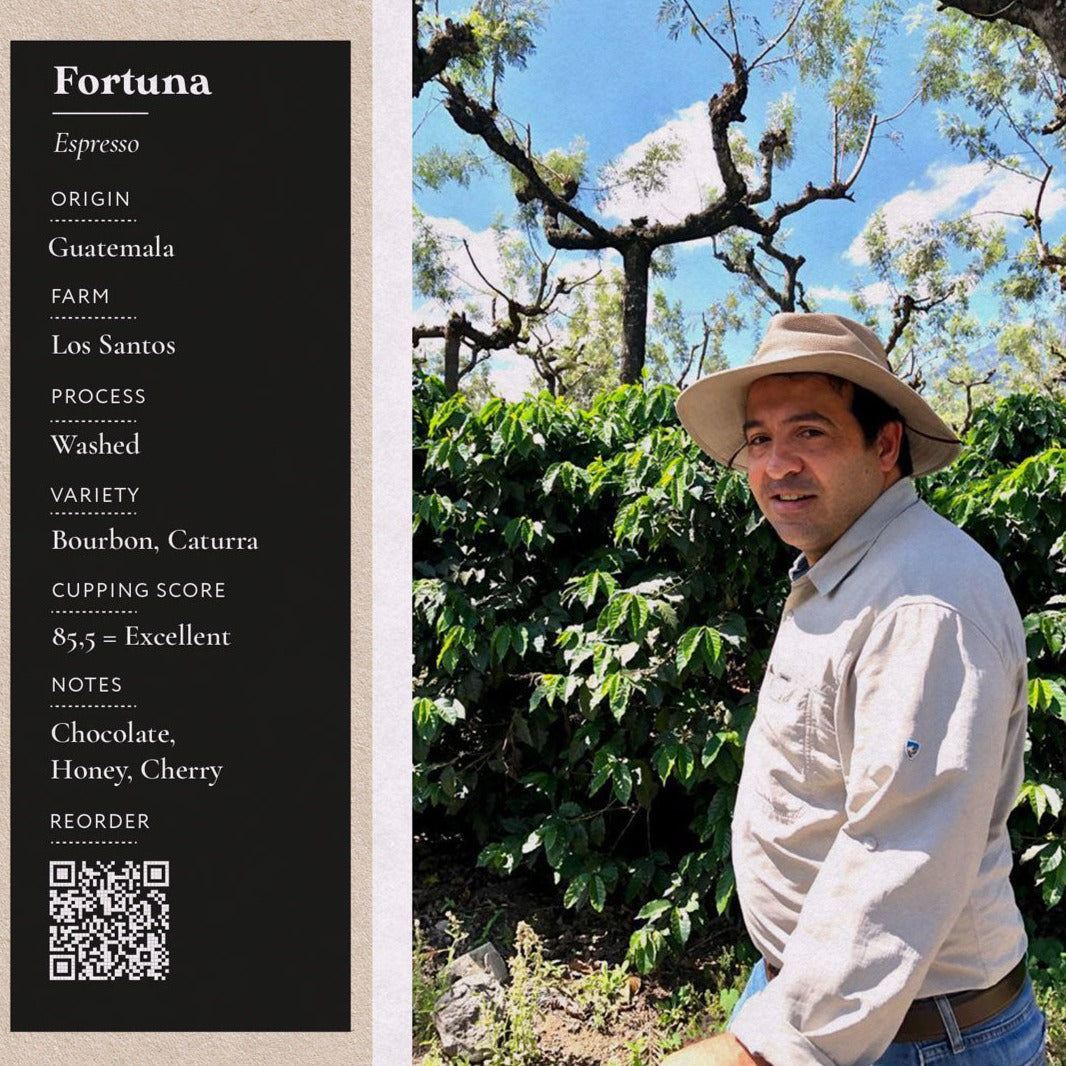 Fortuna Espresso - Guatemala, Los Santos