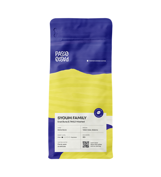 Filter Coffee - Syoum Family - Heirloom Washed