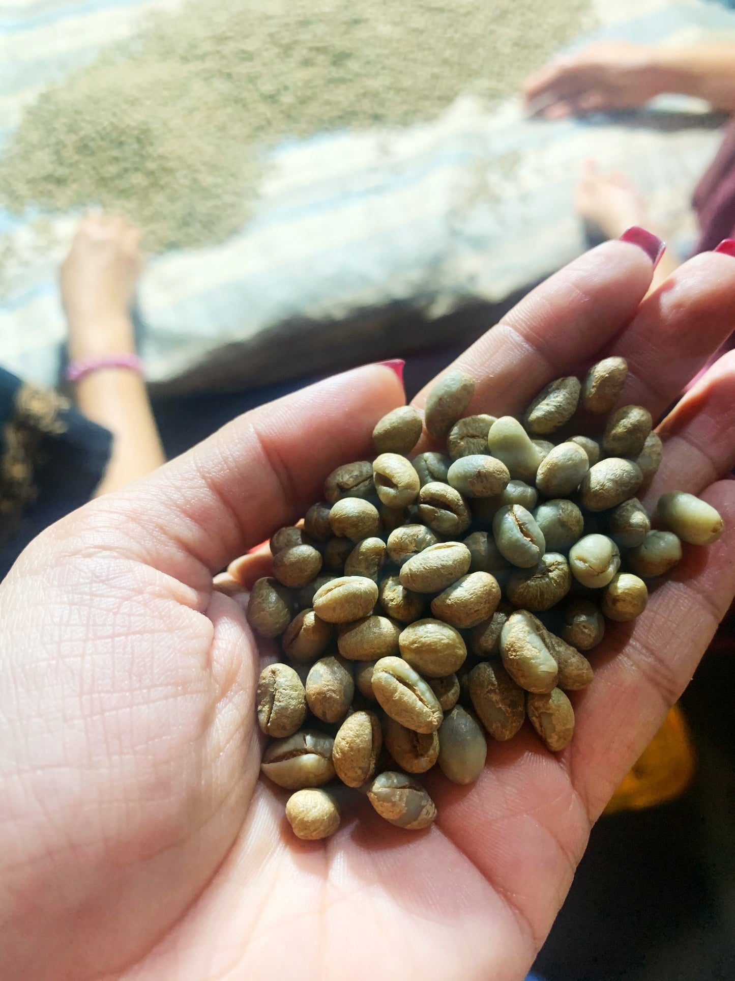 Mr. Toi | Röstkaffee aus Vietnam