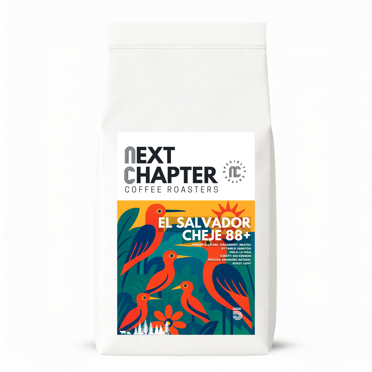 NEXT CHAPTER: EL SALVADOR CHEJE 88+