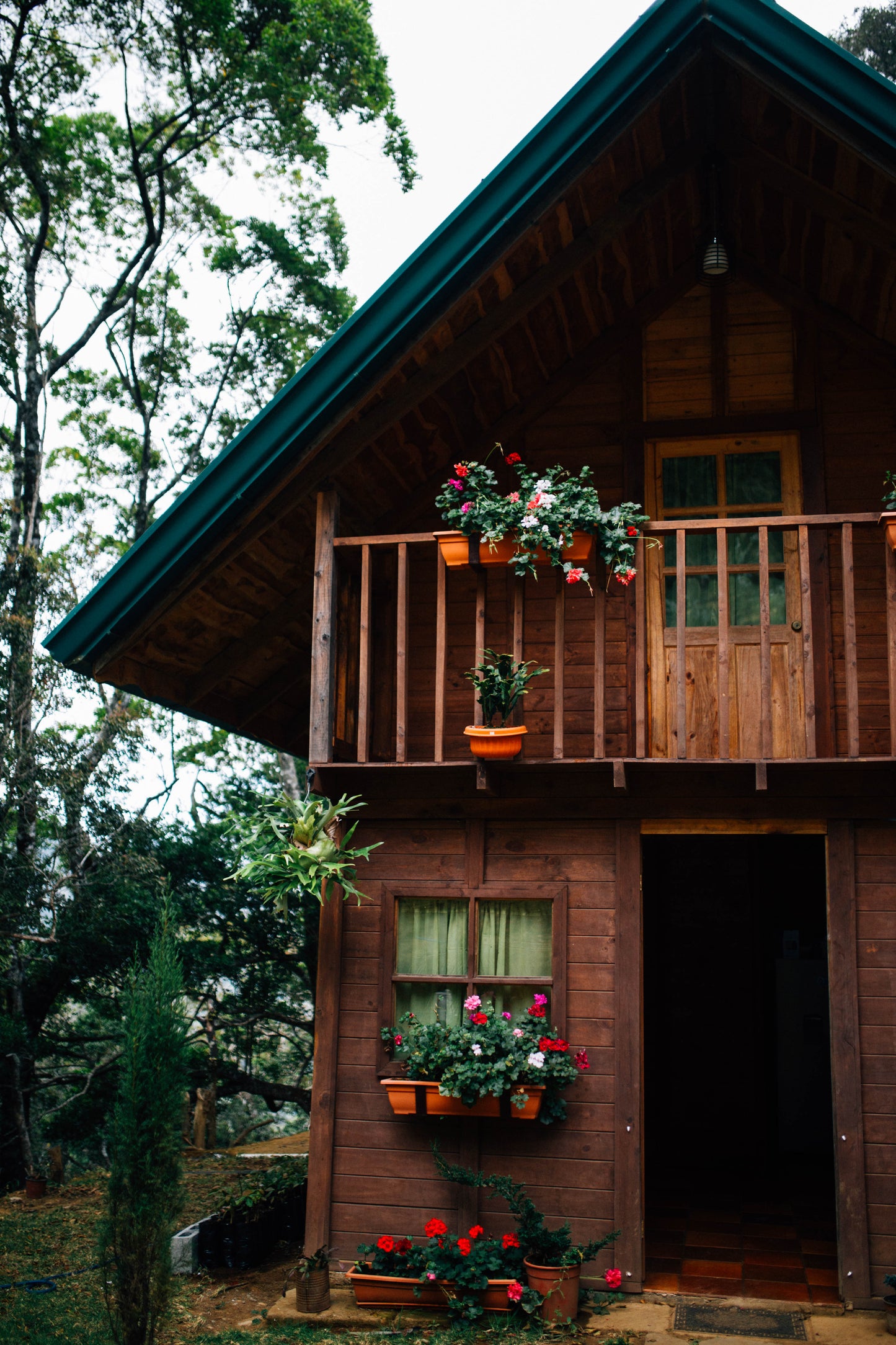 Filter Coffee - Jorge Vásquez - Catuai Natural