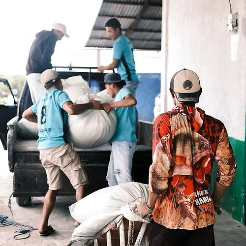 Coco Macan - Espresso