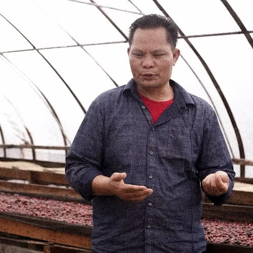 Coco Macan - Espresso