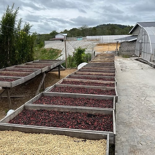 Senja di Goyang - Espresso