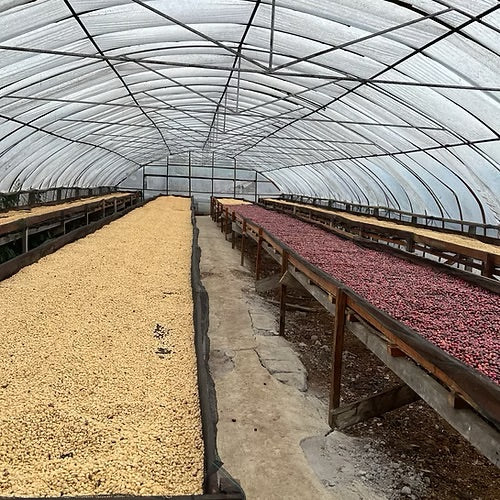 Senja di Goyang - Espresso