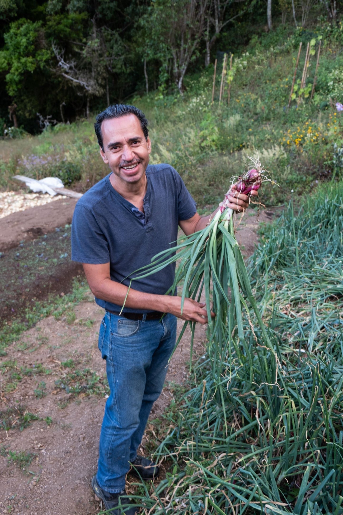 Filter Coffee - Jorge Vásquez - Catuai Natural