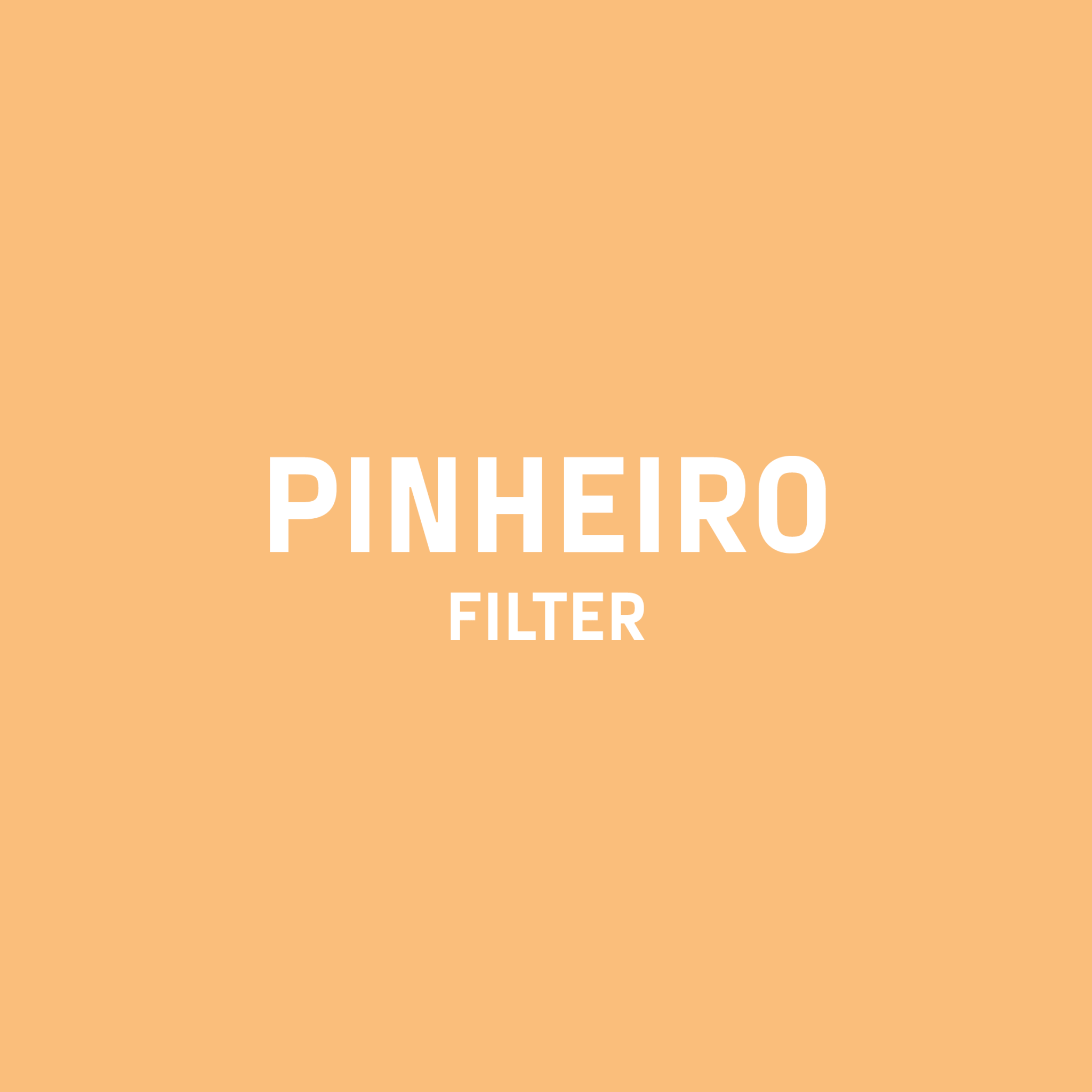 PINHEIRO FILTER