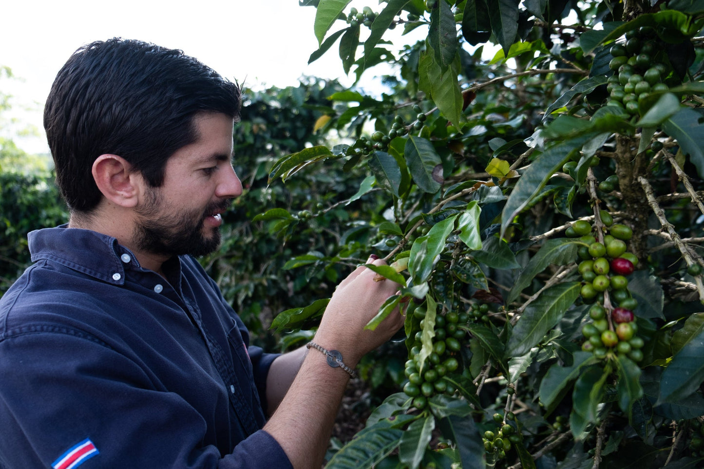 Espresso- Diego Robelo - Grand Peaberry Washed