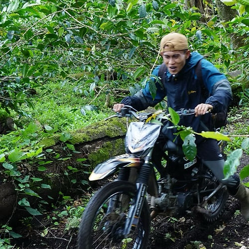 Manis Merabella - Filter