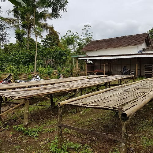 Manis Merabella - Filter